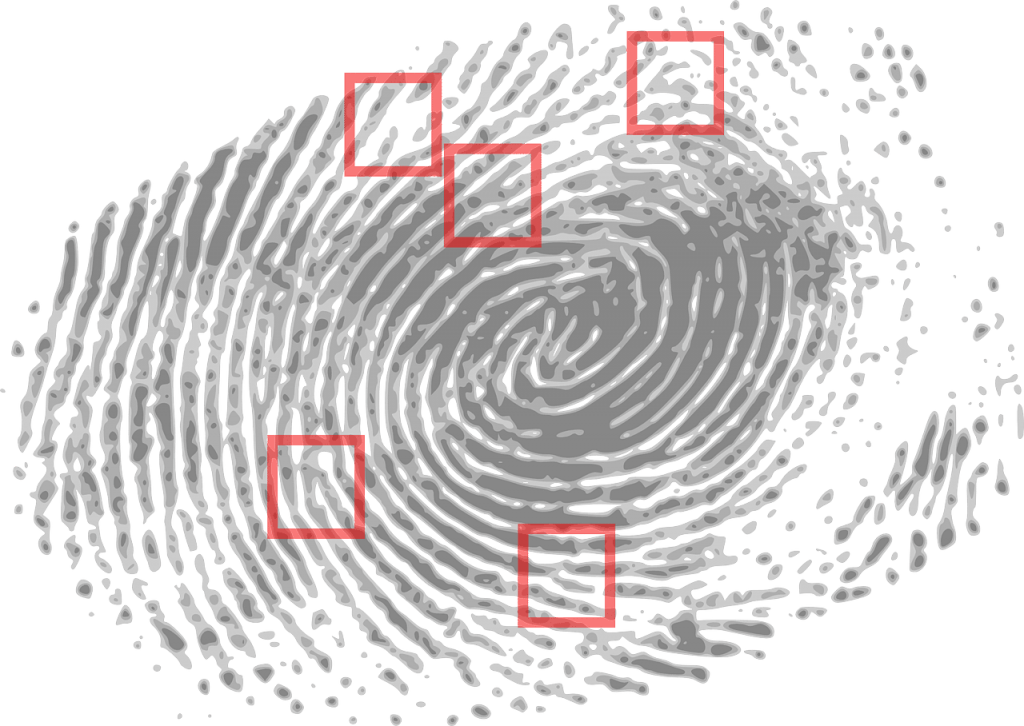 Best Livescan Fingerprinting Services Laplata Md Charles County